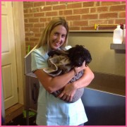 Dog Grooming Westerham